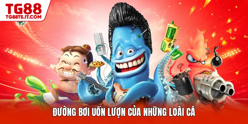 Đường bơi uốn lượn của những loài cá