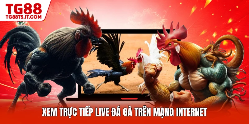 Xem trực tiếp live đá gà trên mạng internet